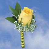 2-bt-rose-yellow-RB-Yellow